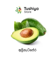 Organic Avocado UAE-අලිගැට පේර 🇦🇪