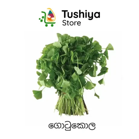 #1 ගොටුකොල Centella asiatica Gotukolan UAE Dubai copy