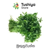 මුකුනුවැන්න Fresh Mukunuwenna Sessile Joyweed Dubai UAE