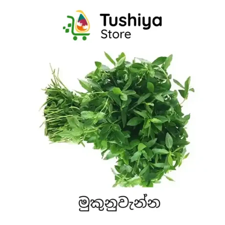 මුකුනුවැන්න Fresh Mukunuwenna Sessile Joyweed Dubai UAE